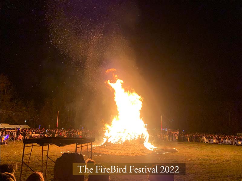 Firebird Festival healing retreat